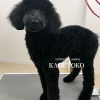 画像1406