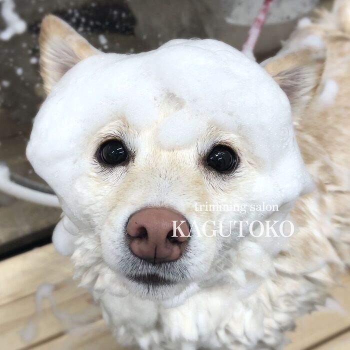 画像1416