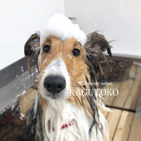 画像1420