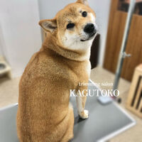 画像1619