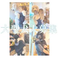 画像1673