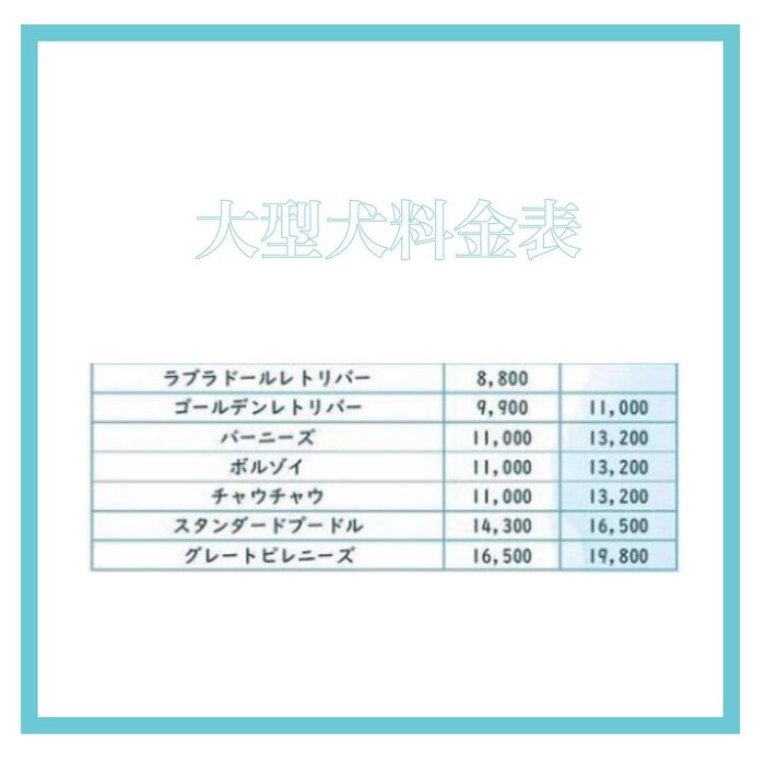 画像1674