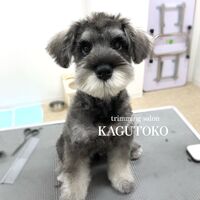 画像1713
