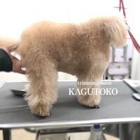 画像1721
