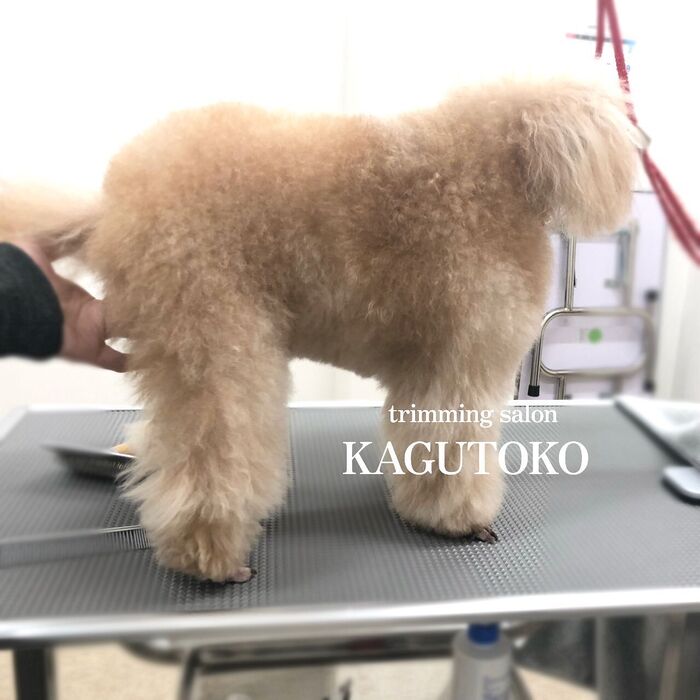 画像1721