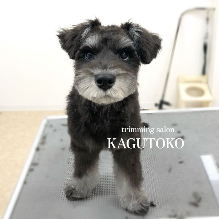 画像1723