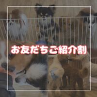 画像1726