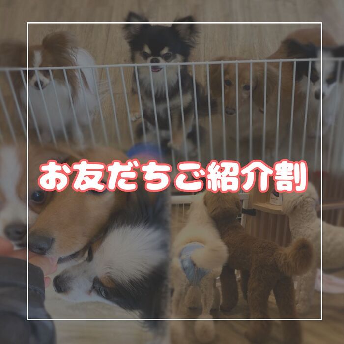 画像1726