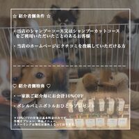 画像1727