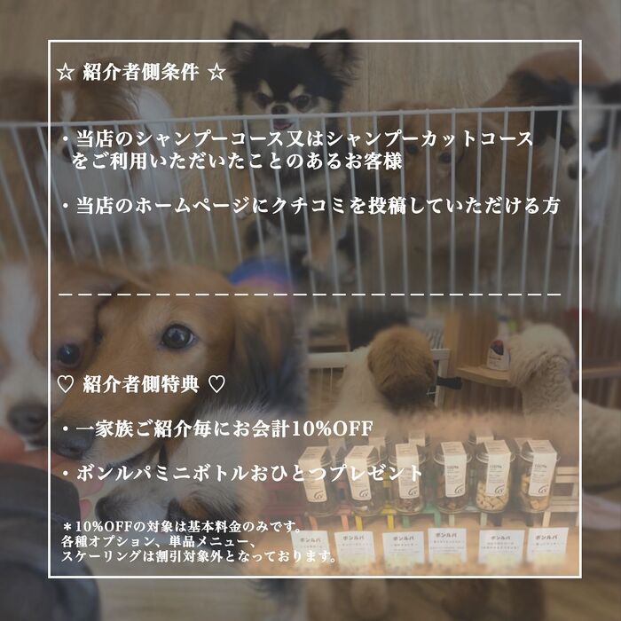 画像1727