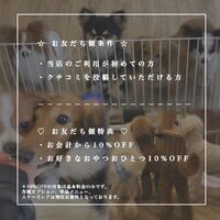 画像1728