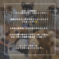 画像1729