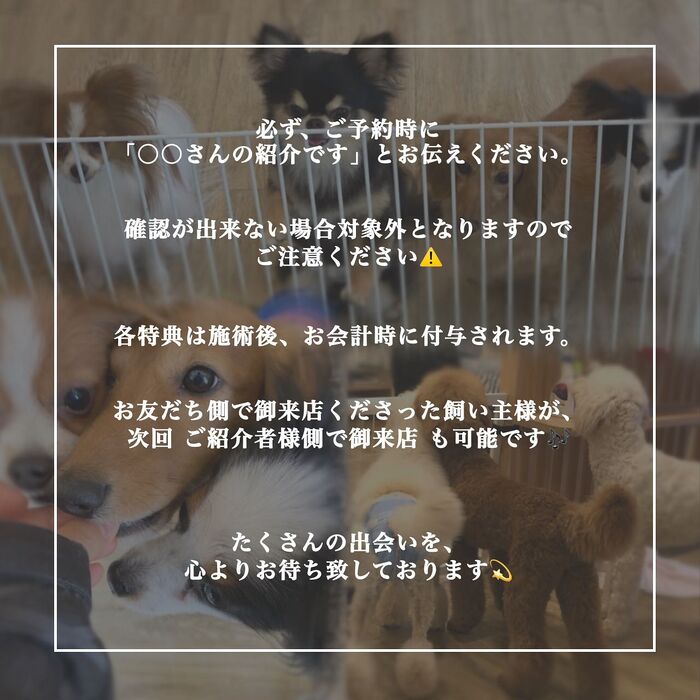 画像1729