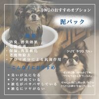 画像1734