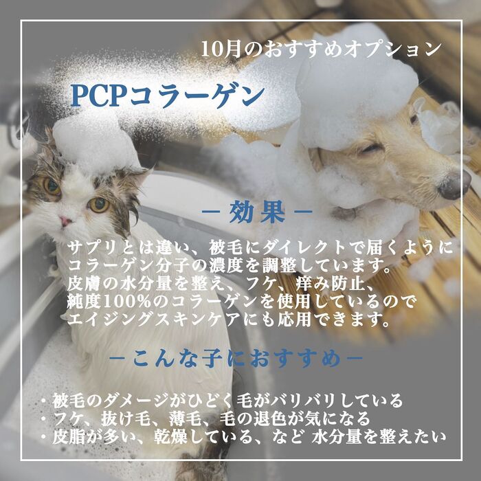 画像1735